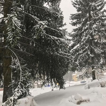 Julie 1 Διαμέρισμα Svoboda nad Úpou Εξωτερικό φωτογραφία